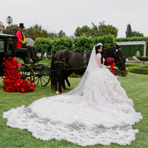 ATELIER BY JIMMY CHOO WEDDING DRESS with JIMMY CHOO matching cathedral veil - Picture 8 of 14